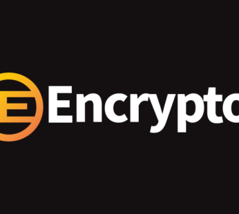 Warrior Blend Organic